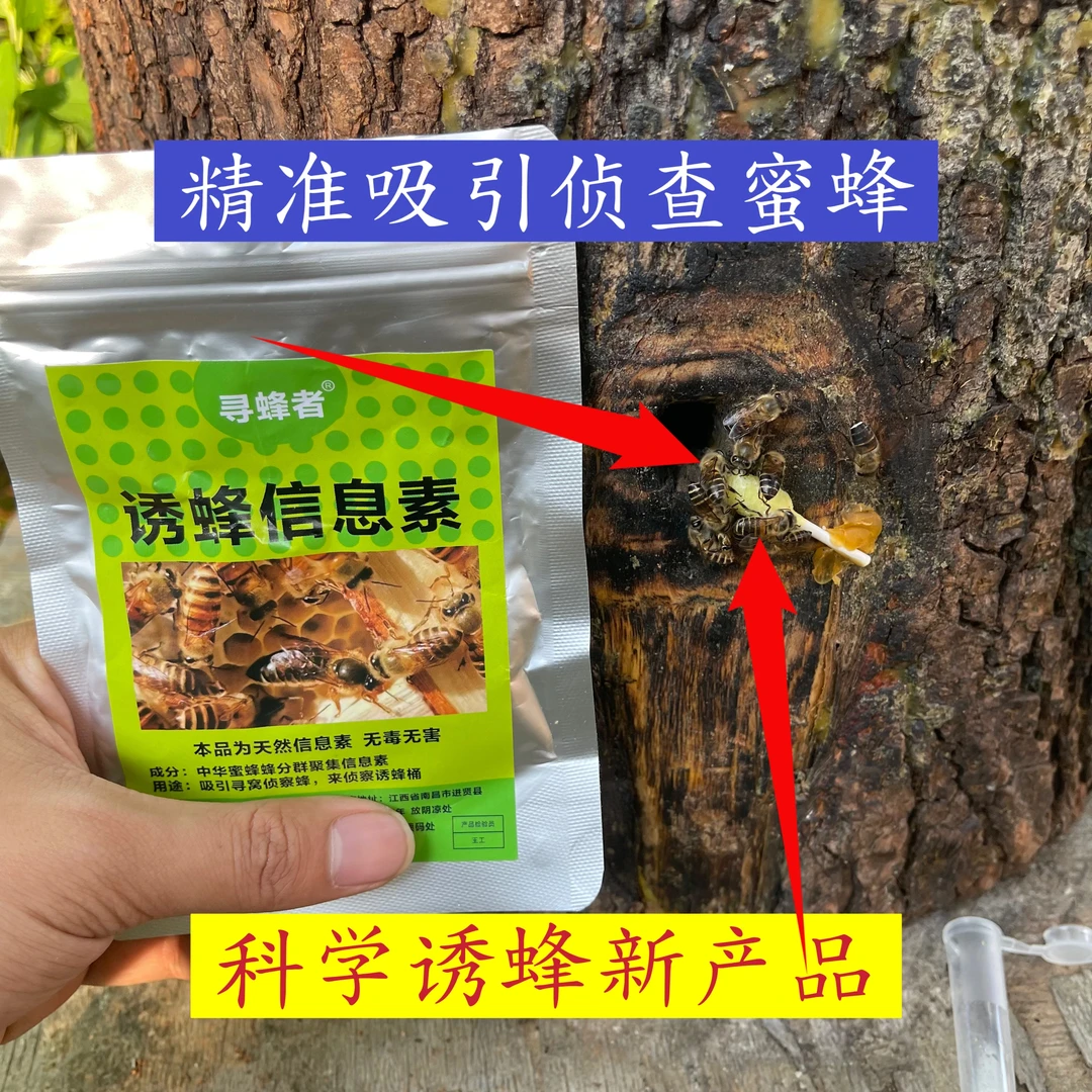 寻蜂者品牌诱蜂信息素大诱芯有效期60天专业诱侦查蜂诱蜂水诱蜂膏