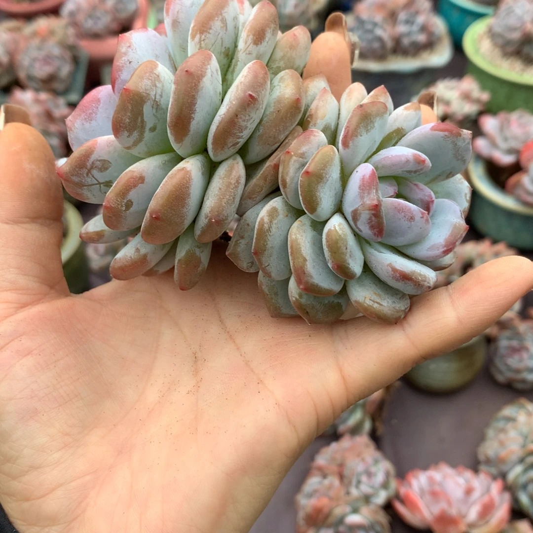 哈哈哈哈哈哈哈哈哈哈哈