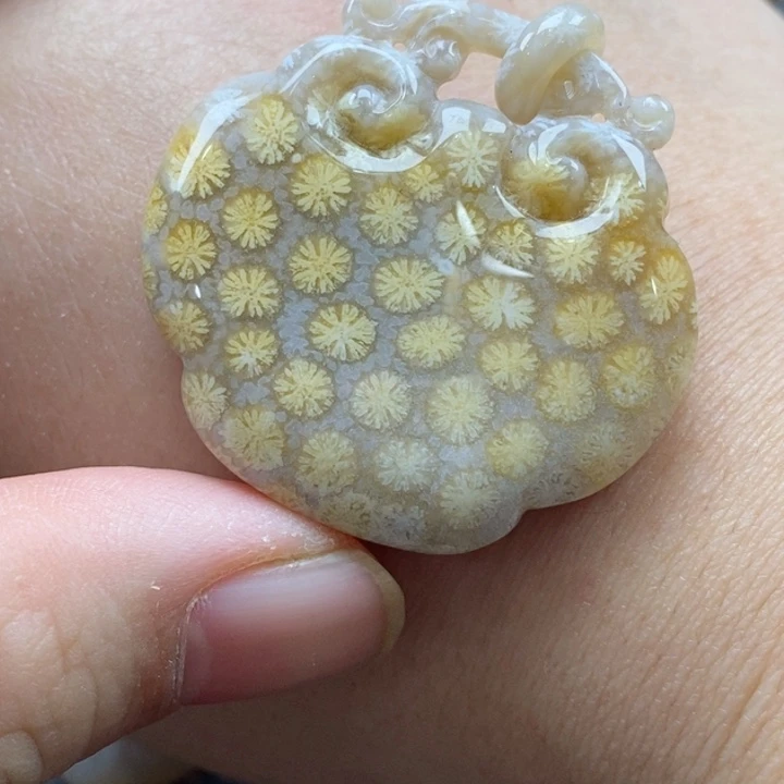 硅化珊瑚（珊瑚玉）颈饰未镶嵌