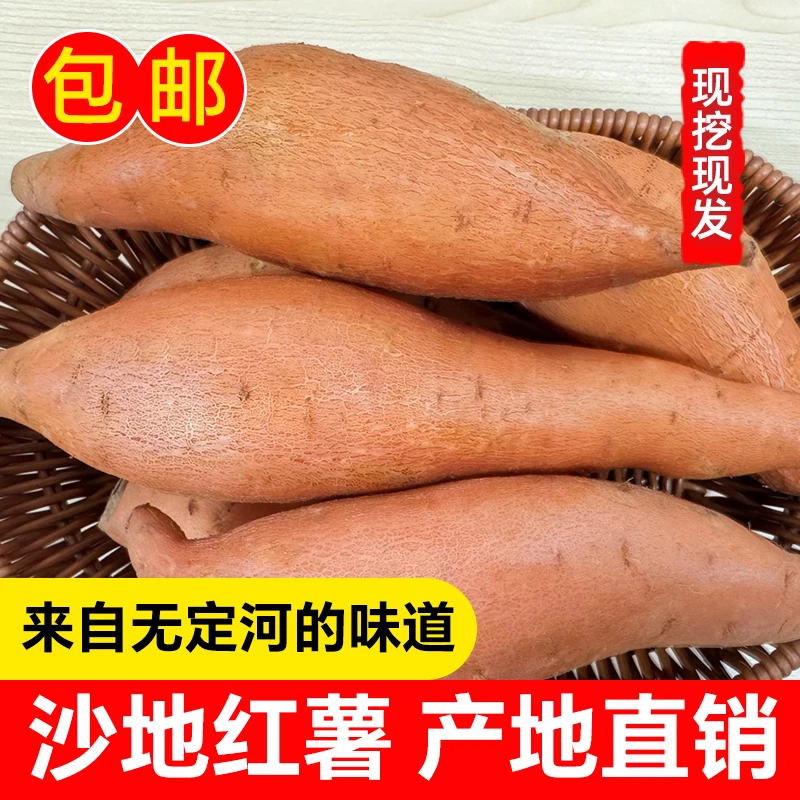【三人行】正宗陕北沙地红薯新鲜地瓜皮薄软糯香甜产地直发5斤装