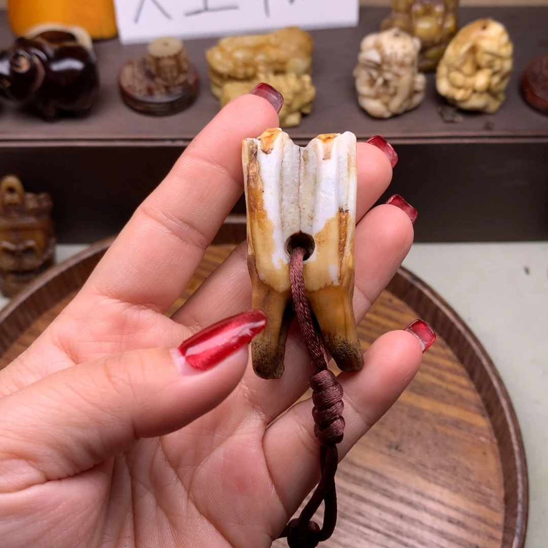 驼骨其他好看驴牙