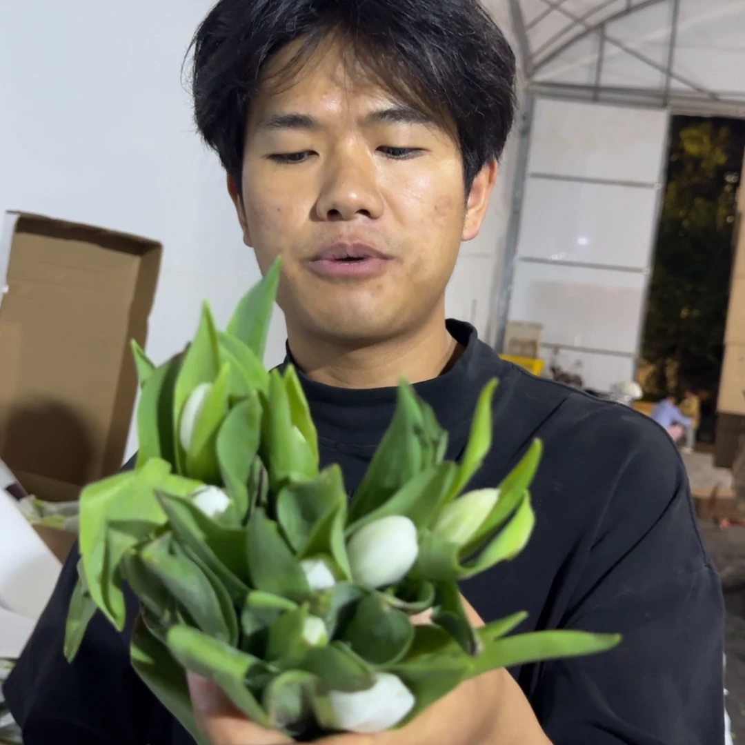 白色郁金香短杆1扎包邮价秒杀叶片有轻微烧焦