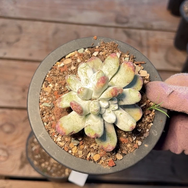 1570哈哈哈哈哈哈哈哈