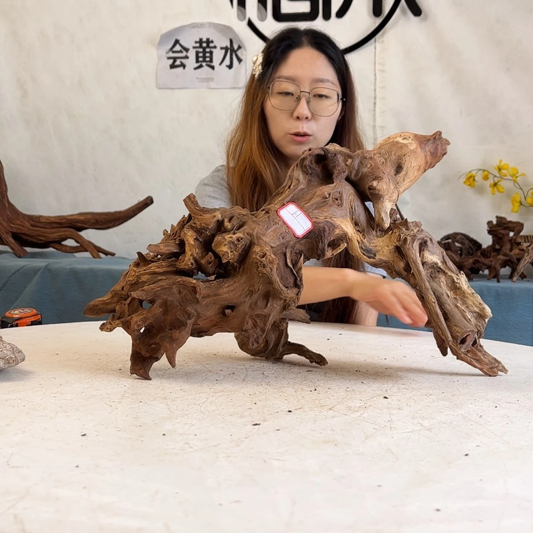 沉木造景寄居蟹景