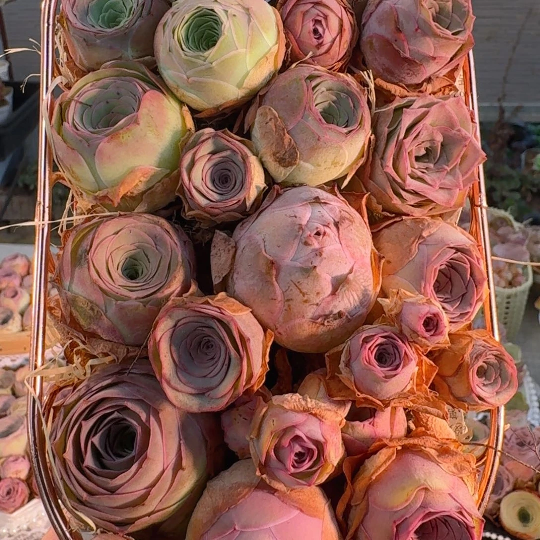 TT750 铁艺花篮玫瑰组合