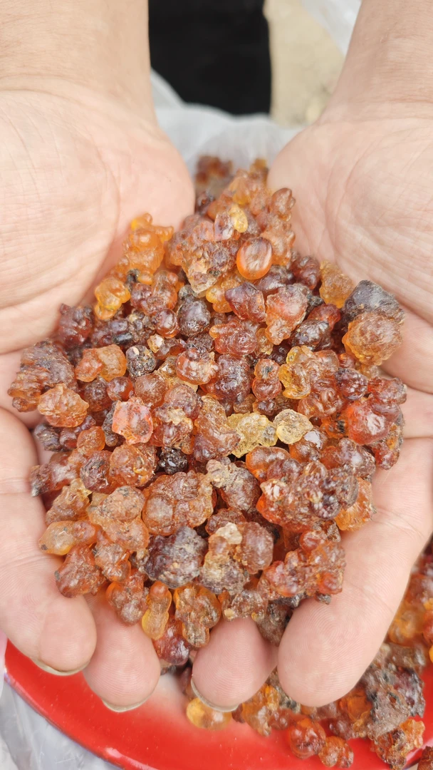 【助农帮扶】农家老树桃胶原胶（有少量杂质介意勿拍）