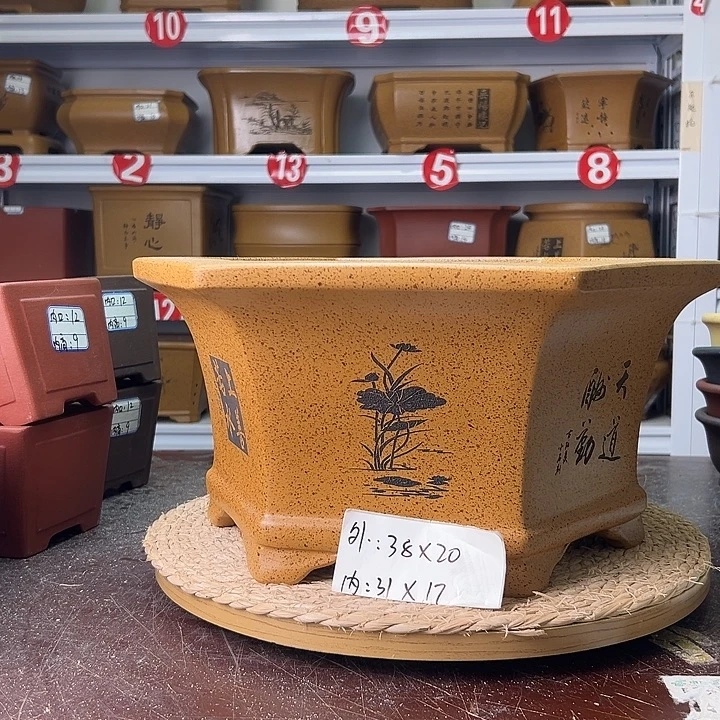 紫砂花盆蛇年大吉