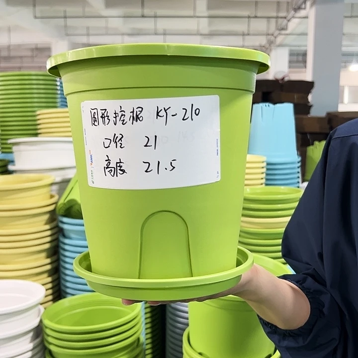 正品圆控口21高21果绿带托8只