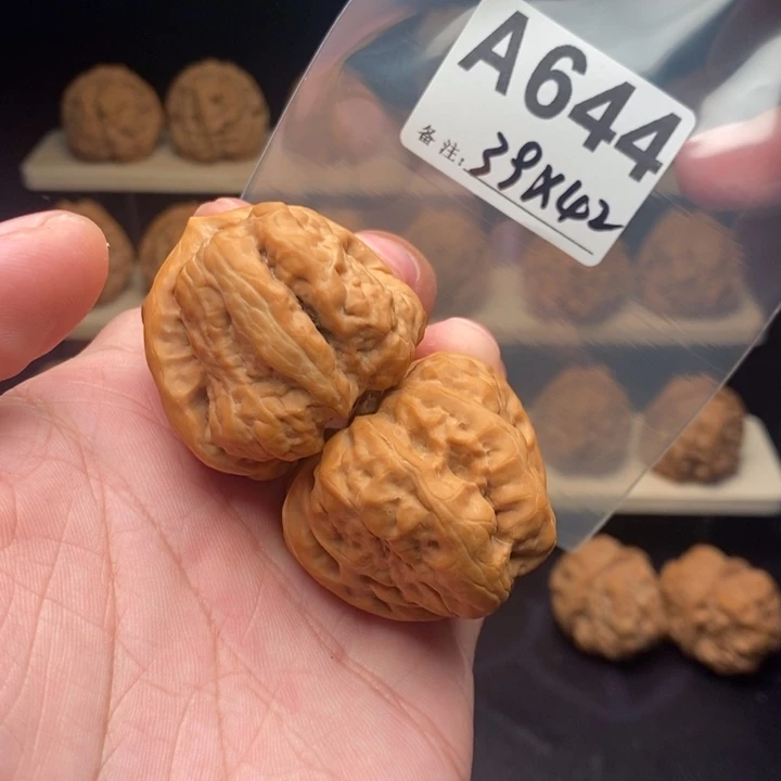 核桃A644号蛤蟆头39尺龙脊背