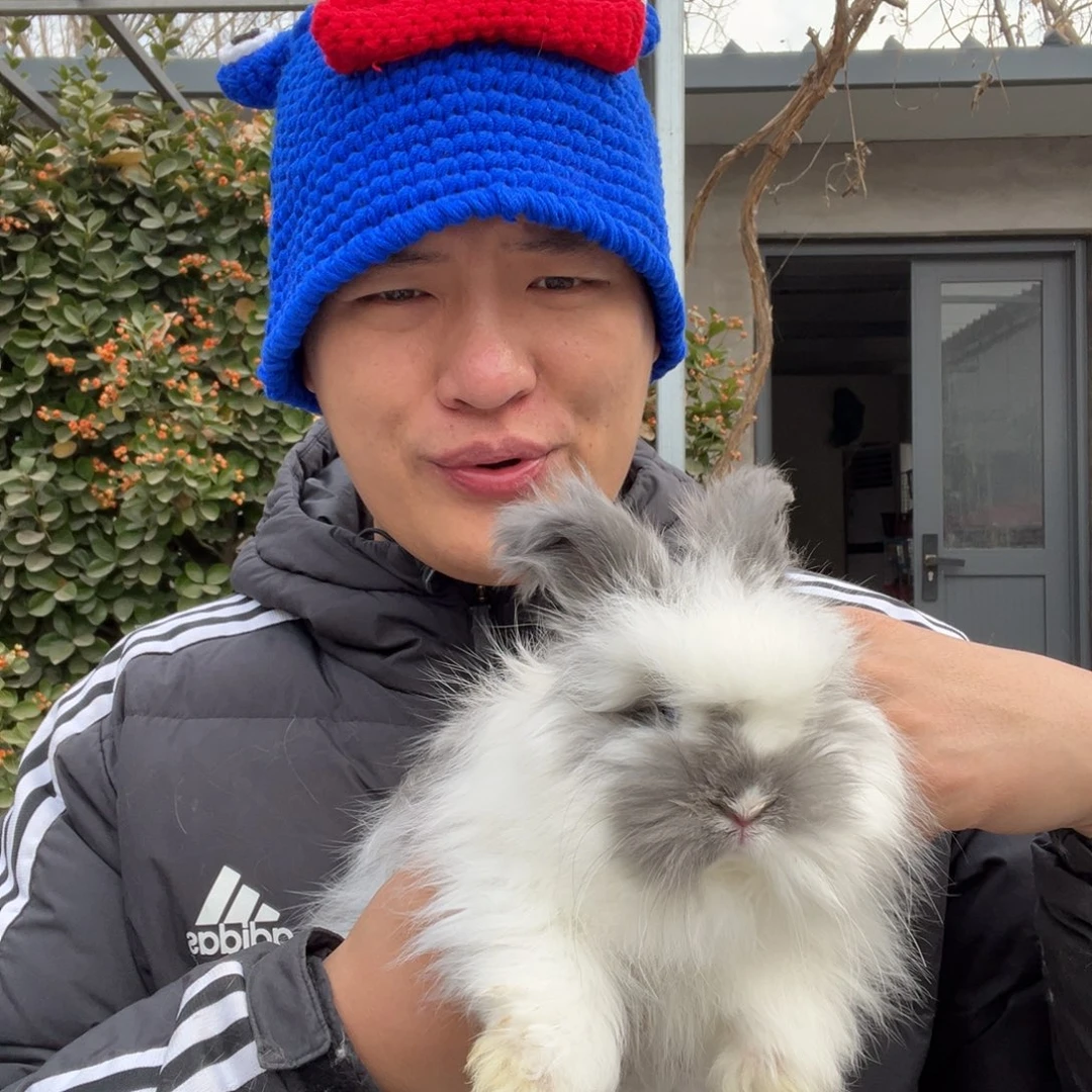 宠物兔英系安哥拉兔