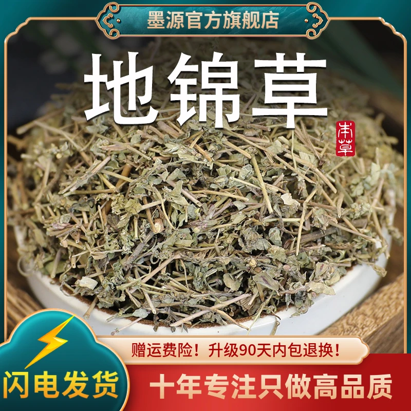 地锦草中药材新鲜地锦草干货铺地锦草斑地锦草奶浆草血见愁可打粉