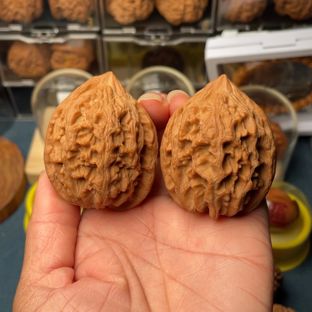 文玩核桃把件43+大沽石