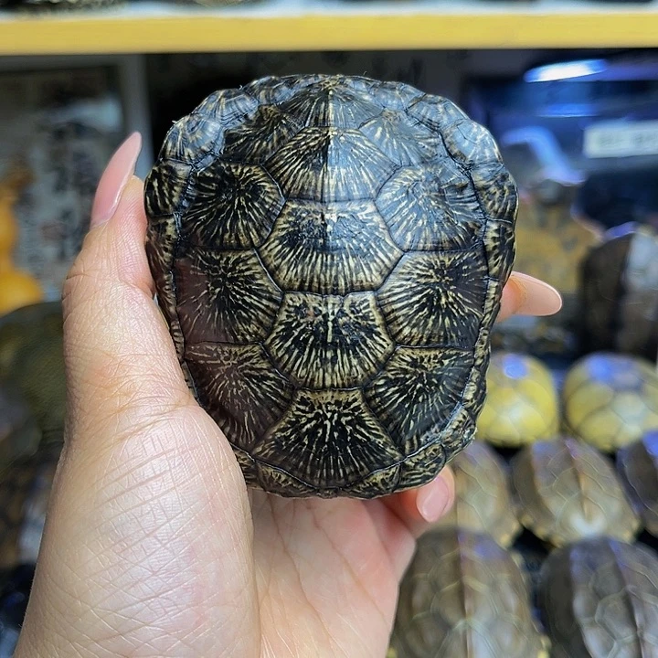 【闪购商品】有机玻璃四****）