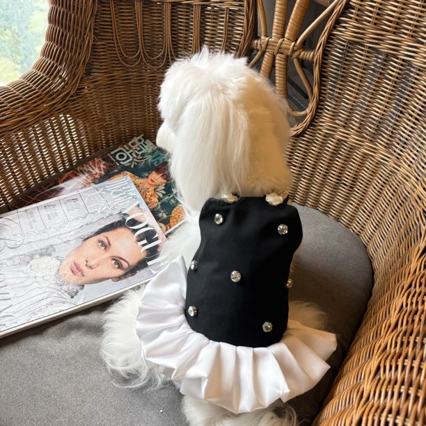 宠物狗狗猫咪珍珠蓬蓬裙背带裙