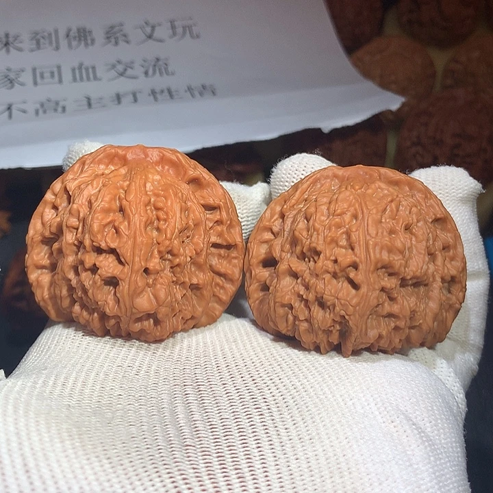 49尺寸大南疆嗷嗷板正