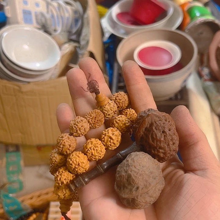 杂色豆（科檀/科特迪瓦檀木）食**哥