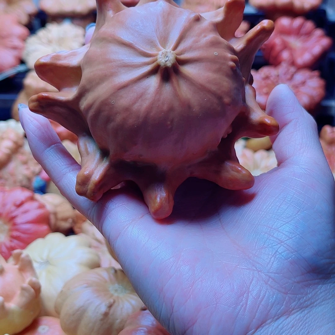 腿***族陶瓷墨西哥葫芦可盘可摆