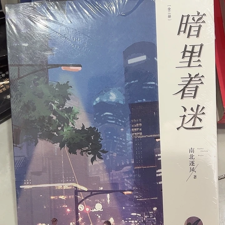 正版书籍 暗里着迷