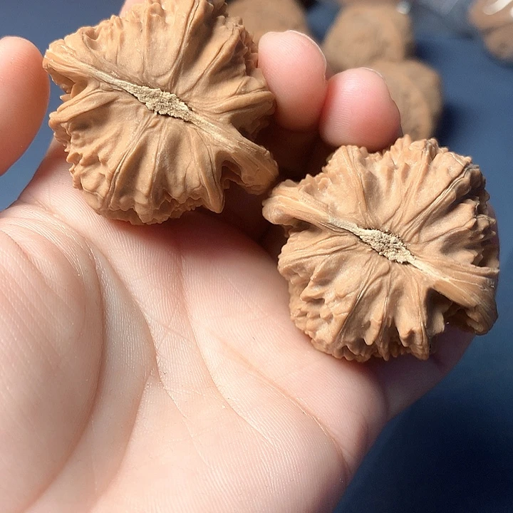 ٩***و文玩核桃吊坠粗筋