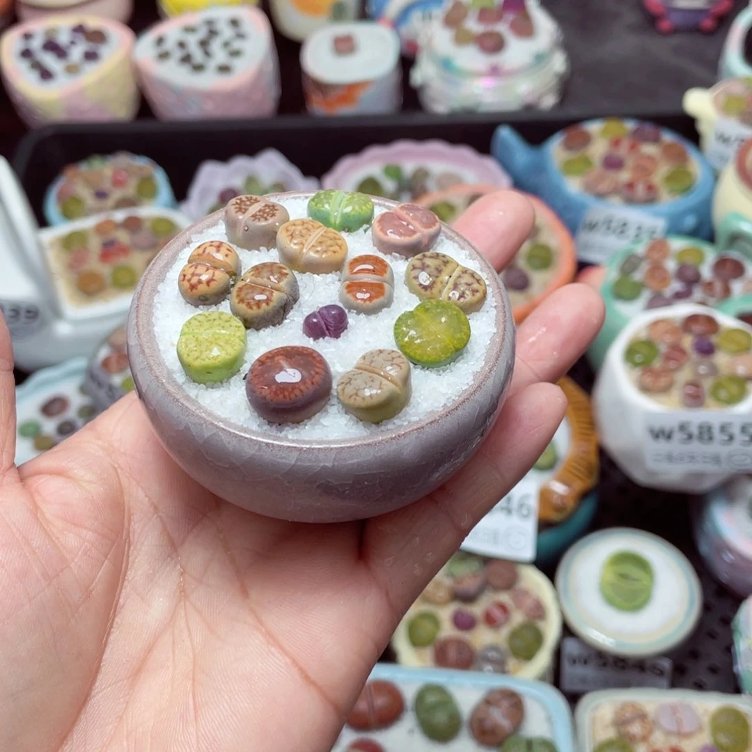 w5860 -零下地区拍保温箱-15支持寄养