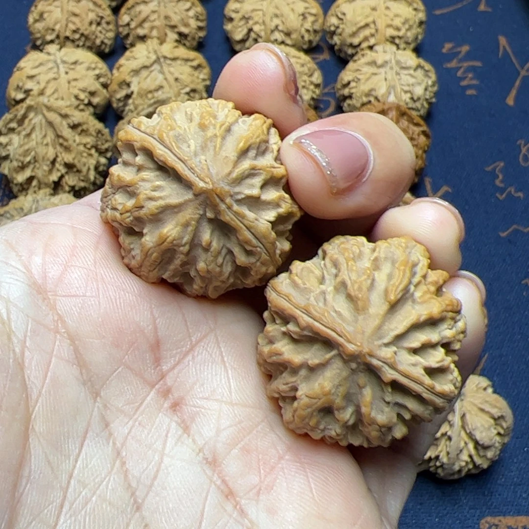 文玩核桃把件秦岭野生植物核桃