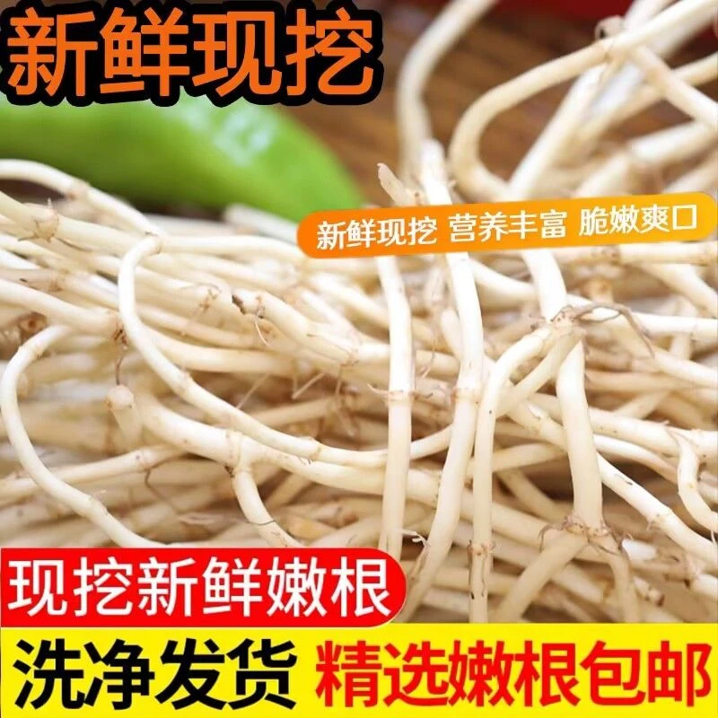 云贵川湖北特产新鲜折耳根鱼腥草嫩根当季蔬菜节节根农家自种现挖