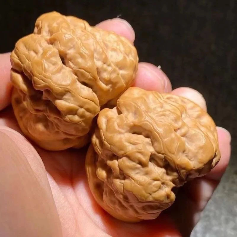 蛤蟆头野生延庆蛤蟆狮子头金蟾桃核文玩核桃正品小众延庆蛤蟆头正