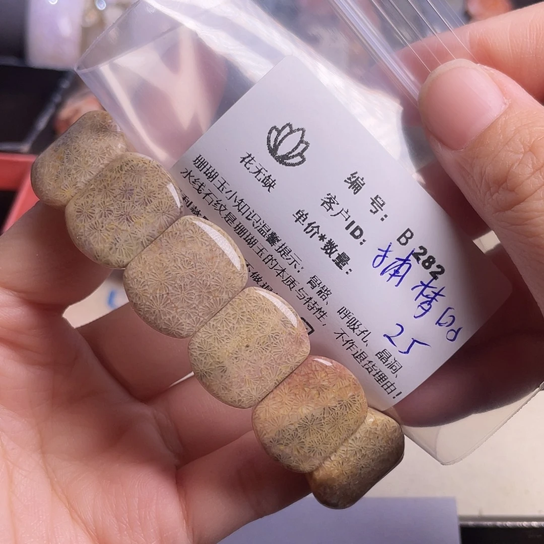 捕***鱼硅化玉未镶嵌手镯