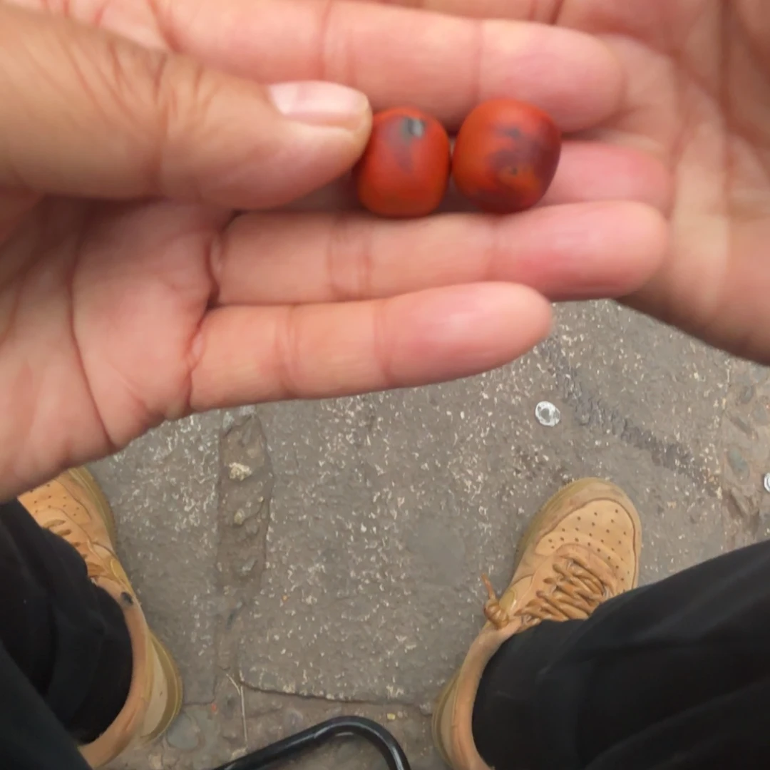 南红玛瑙吊坠(不含链)未镶嵌执*宝