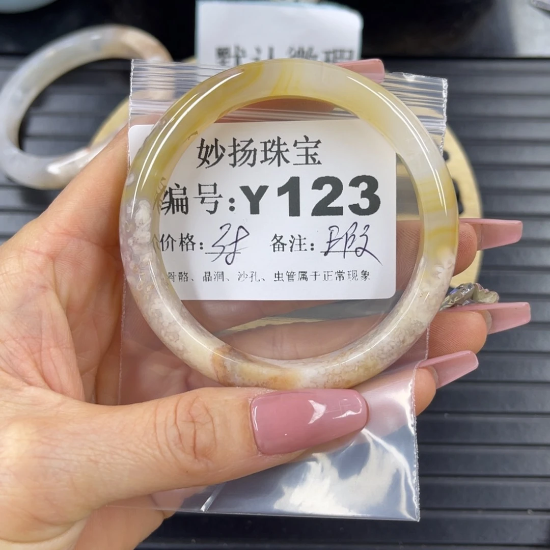 硅化珊瑚（珊瑚玉）瑕未镶嵌黑**枝