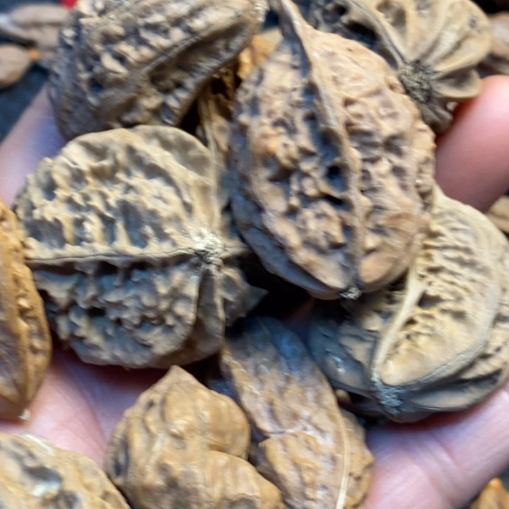 智***享吊坠文玩核桃娜姐76
