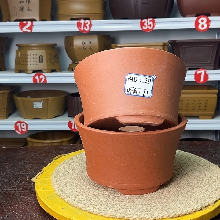 花盆紫砂你在一起