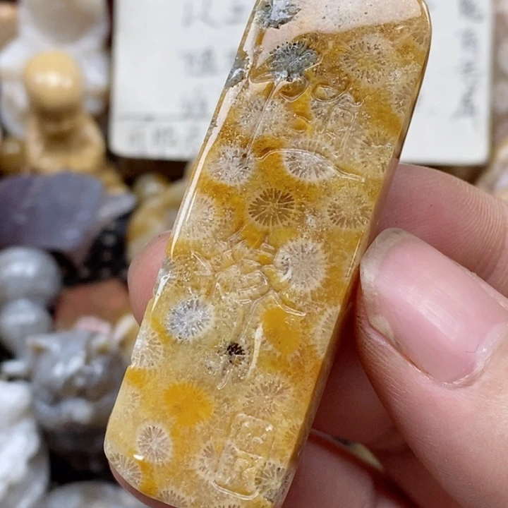 颈饰未镶嵌硅化珊瑚（珊瑚玉）有瑕