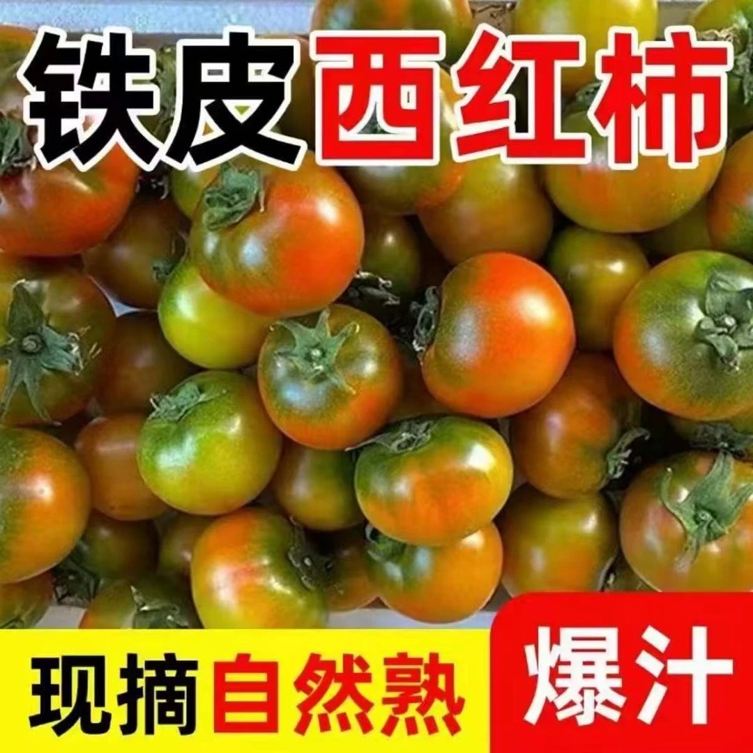 【顺丰包邮】草莓番茄铁皮西红柿碱地铁皮柿子生吃5斤送货上门