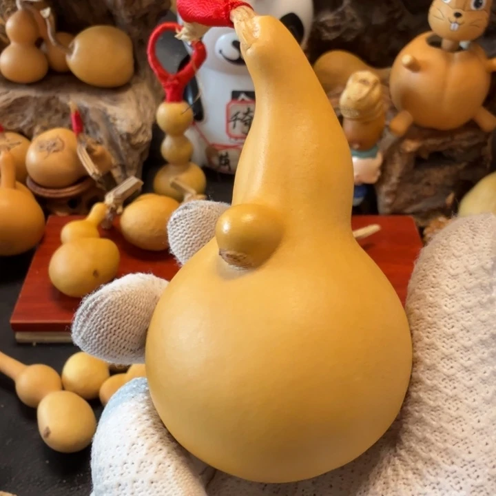 $***$6…………………………………………