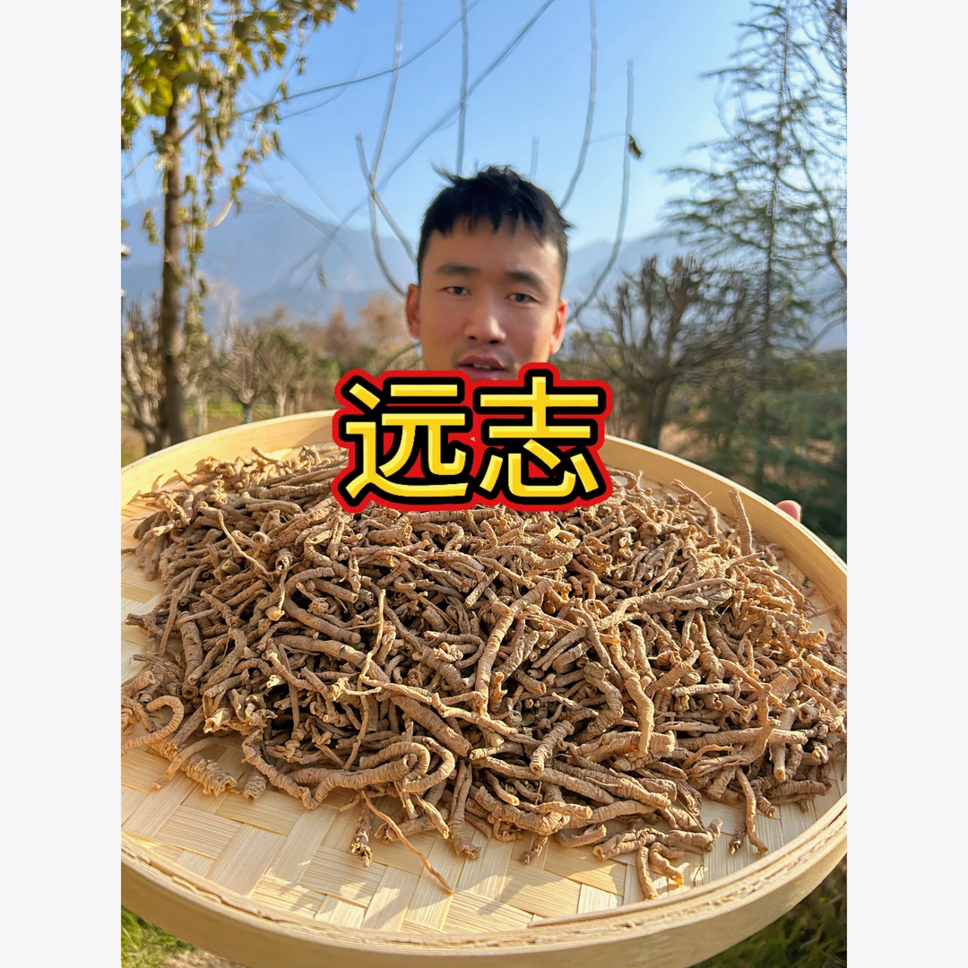 【远志】西秦岭正品无硫熏远志正品新货包邮