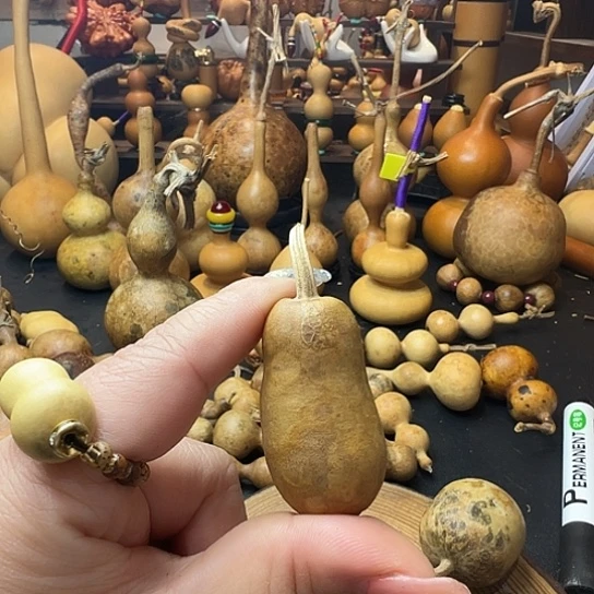 摄***丁葫芦葫芦葫芦葫芦