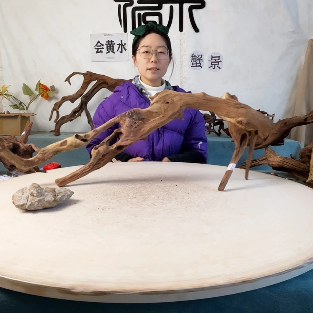 沉木造景爬宠造景