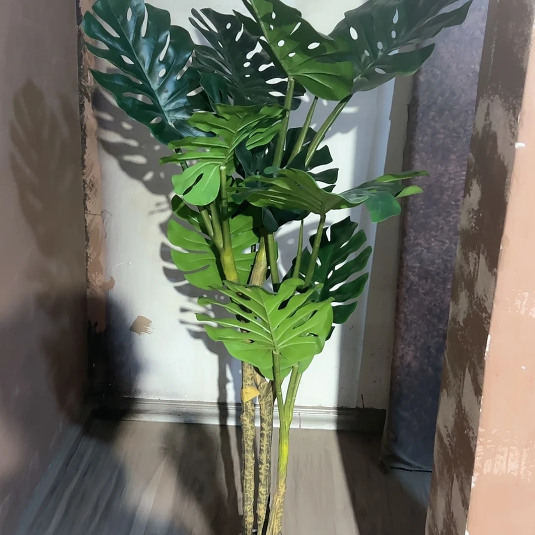 【闪购商品】太*满30包邮微瑕微瑕