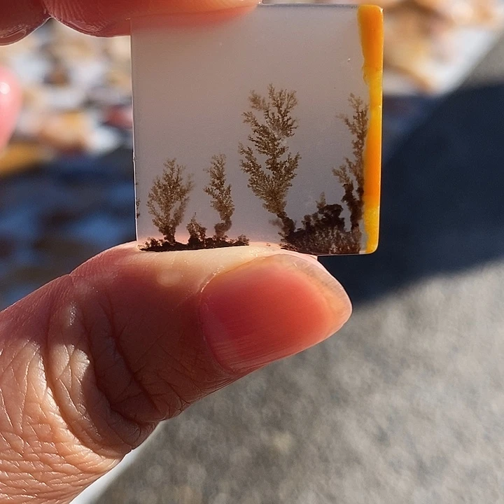 石英质玉（黄龙玉）未镶嵌颈饰