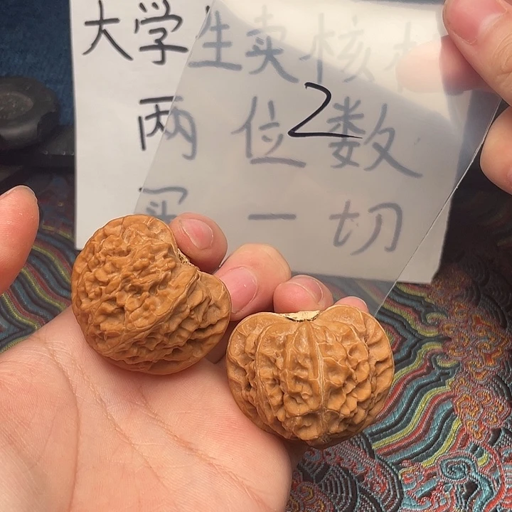 核桃哈哈哈哈哈哈哈哈哈哈哈