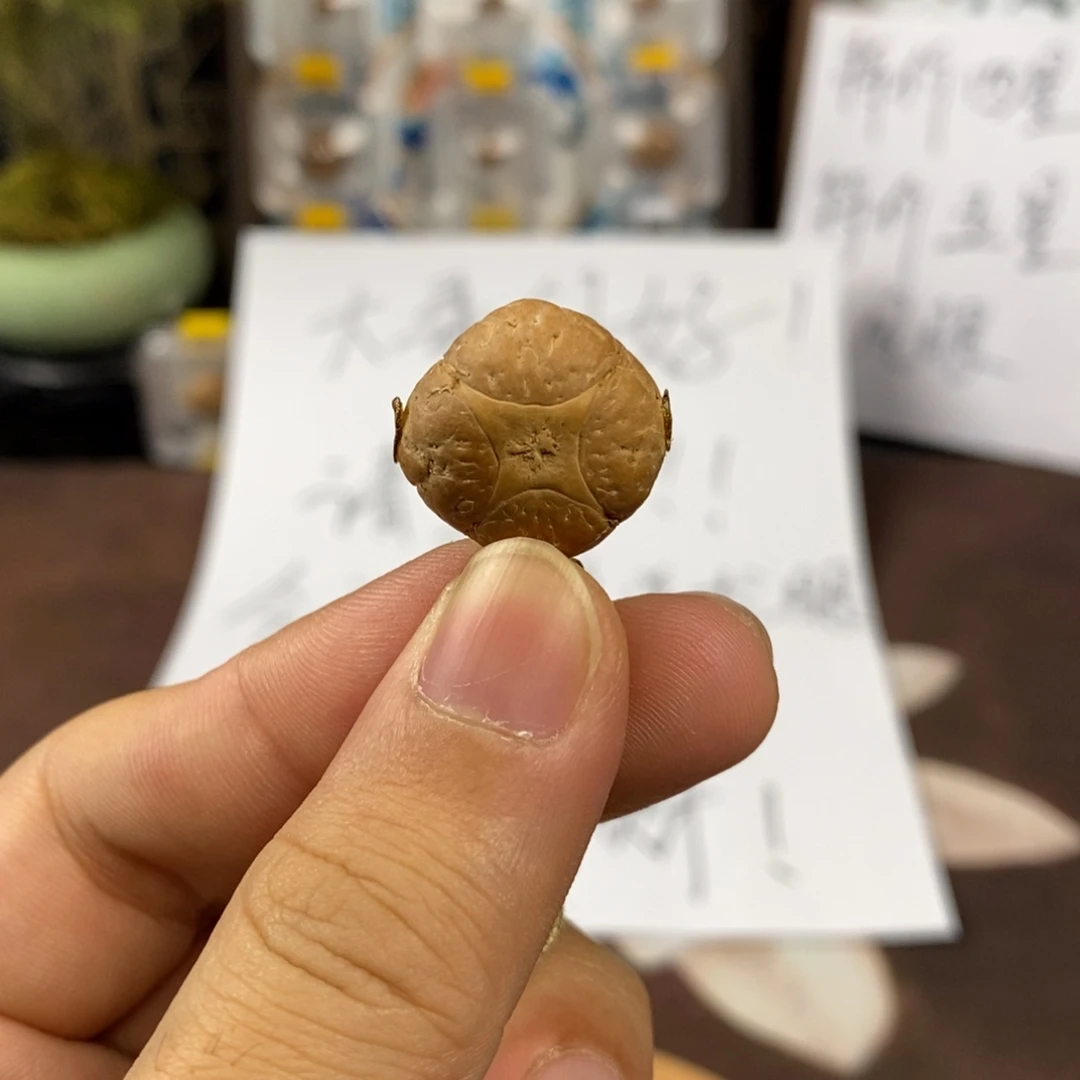 吊坠凤眼菩提19麒麟单颗