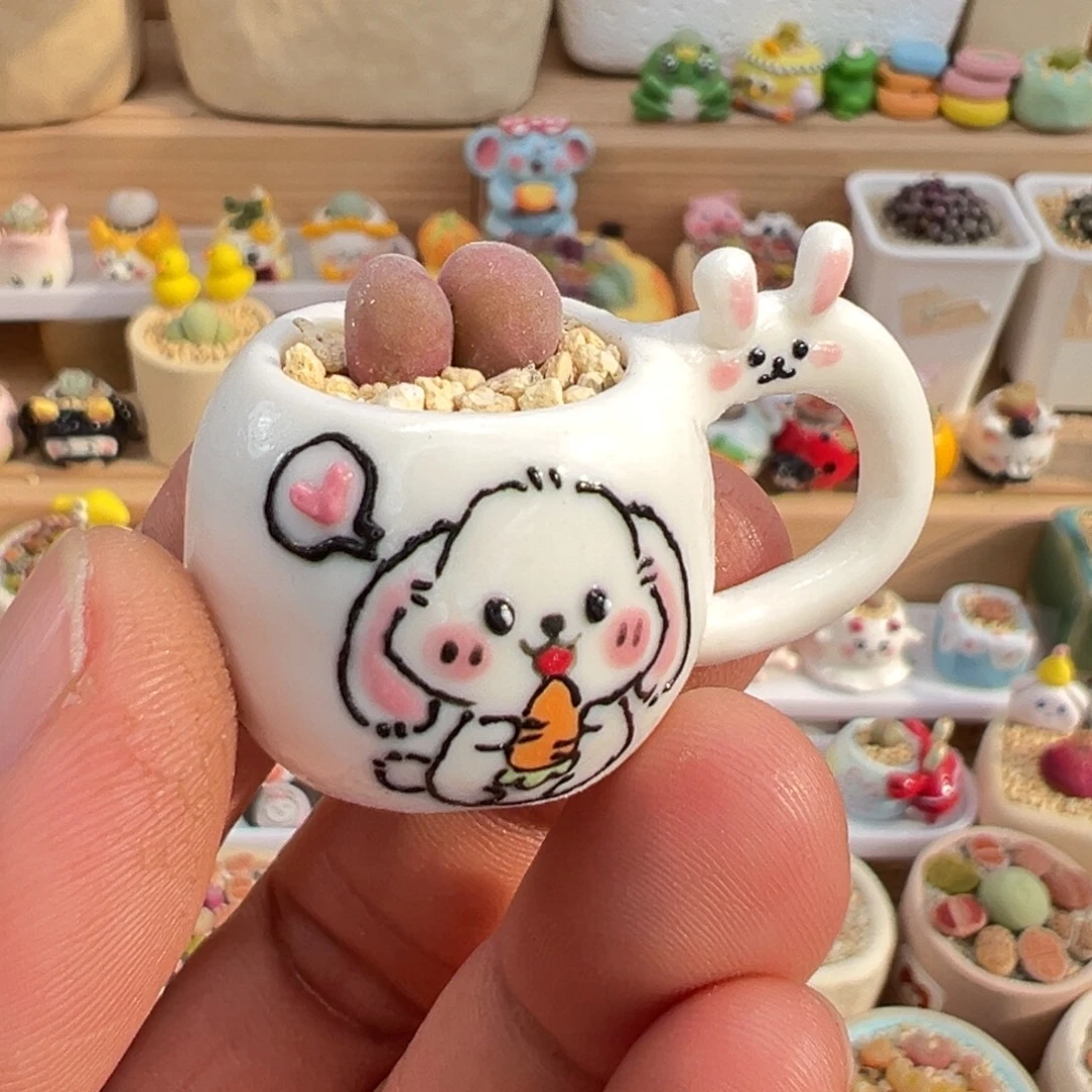 加***记多肉植物实付9.9元包邮22号