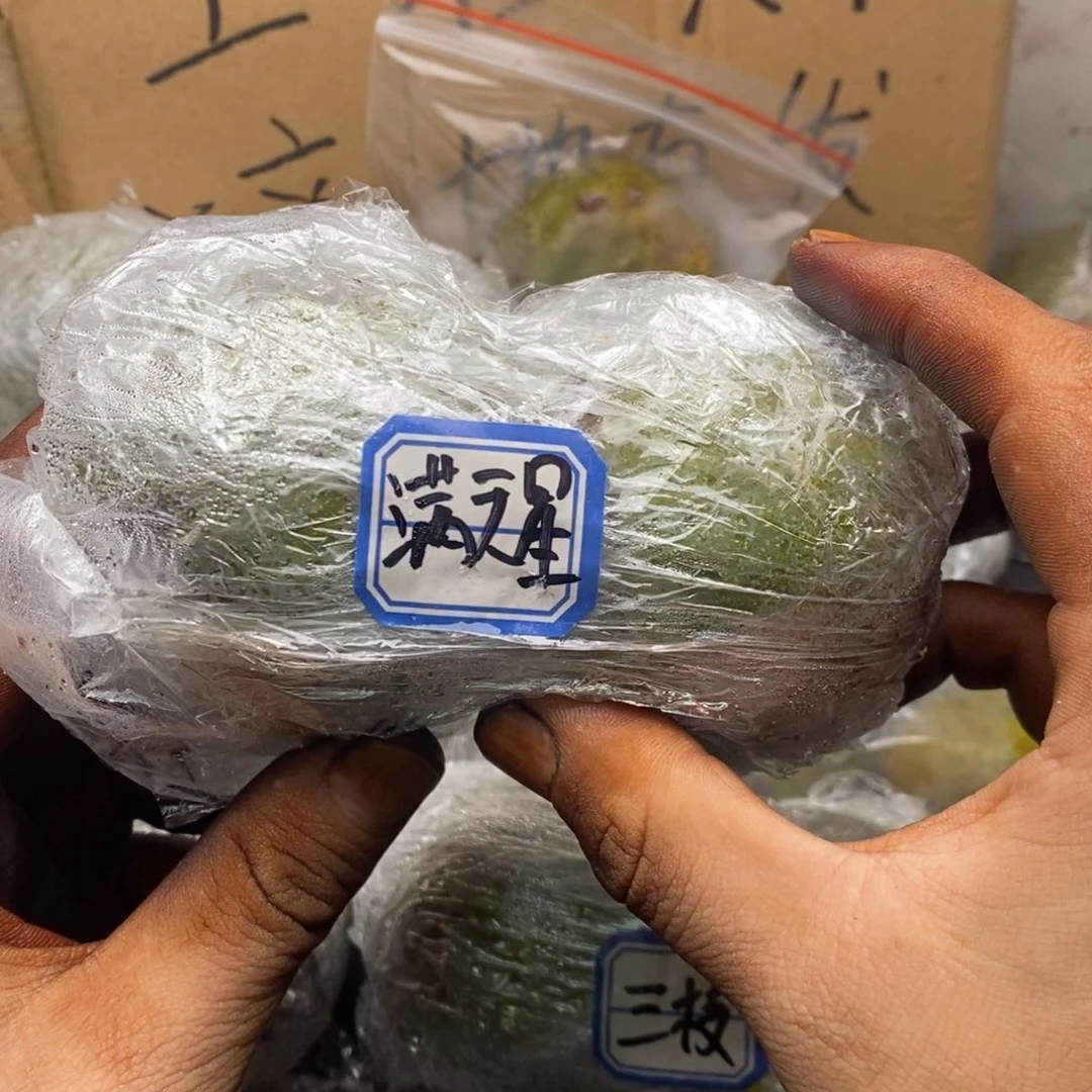 lyx产地直发满天星34