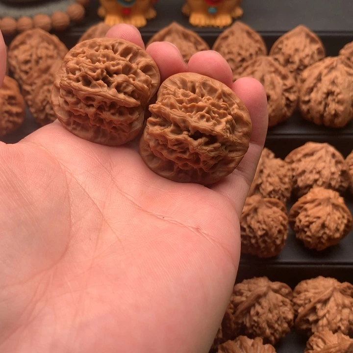 其他核桃H**?秦岭秦闷