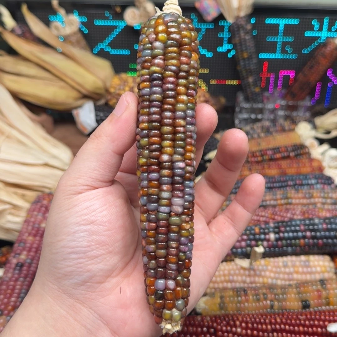柏香籽/百香籽吊坠桔****
