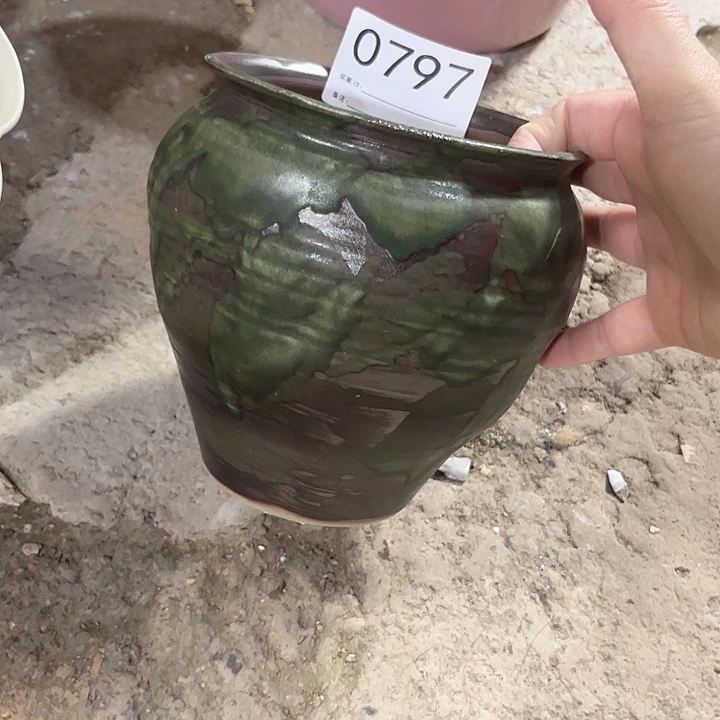 瓶口12高15 满68随机一只盆