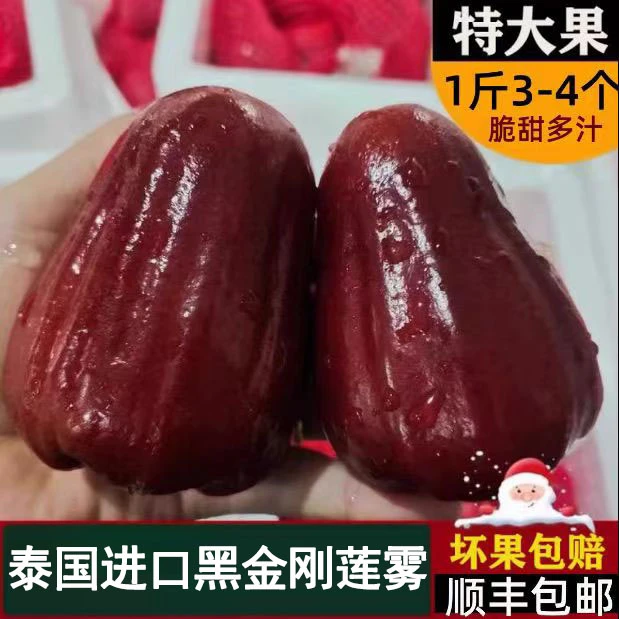 【顺丰包邮】泰国进口黑金刚莲雾清甜汁水足孕妇新鲜水果清脆爽