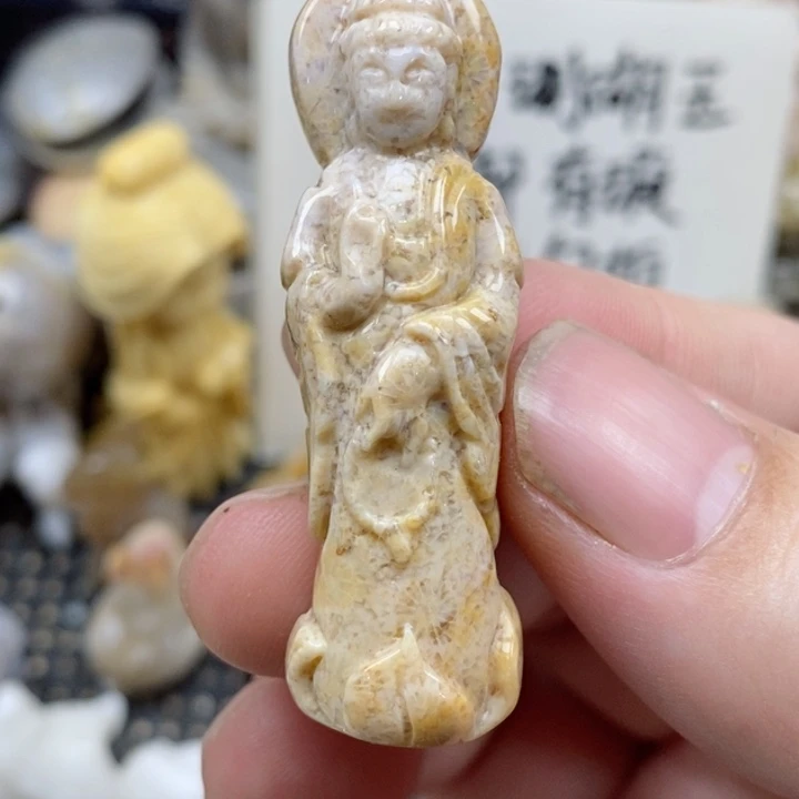 颈饰未镶嵌硅化珊瑚（珊瑚玉）