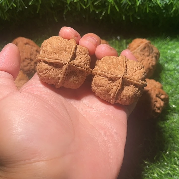 吊坠龙脊菩提豆腐块